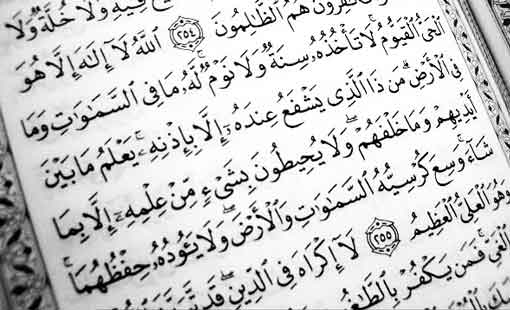 الإسلام.. بين الإرادة والإكراه